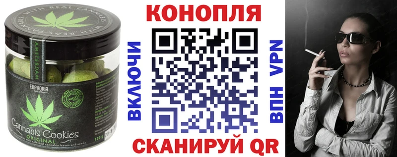 магазин продажи наркотиков  Черкесск  Canna-Cookies марихуана 