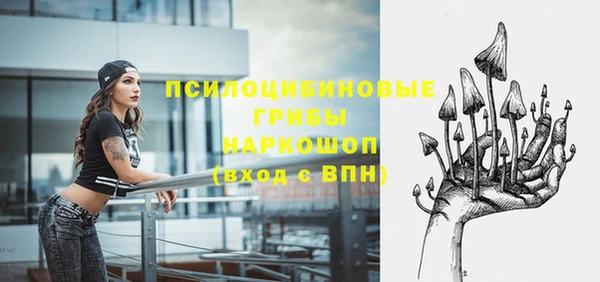 дмт Алзамай