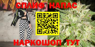 стафф Тара