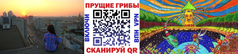 Галлюциногенные грибы GOLDEN TEACHER  Черкесск 
