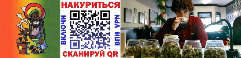 hydra зеркало Черкесск Бошки марихуана Amnesia что такое